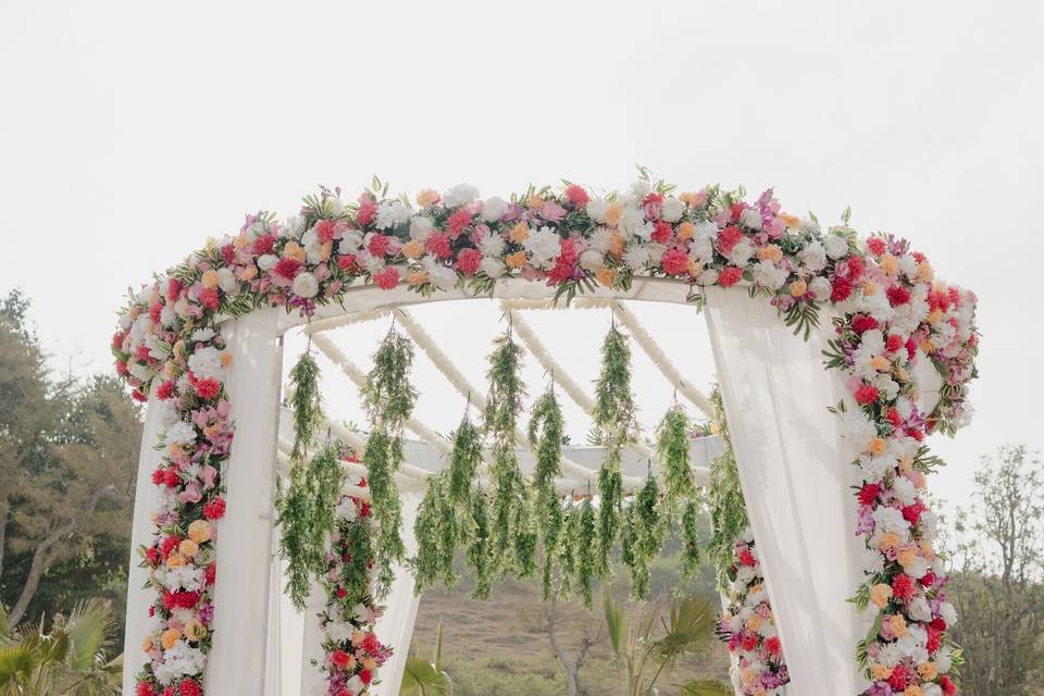 Weeding