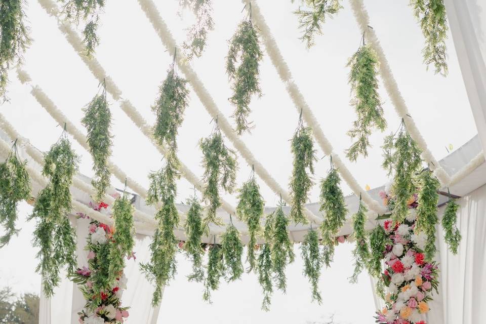 Weeding