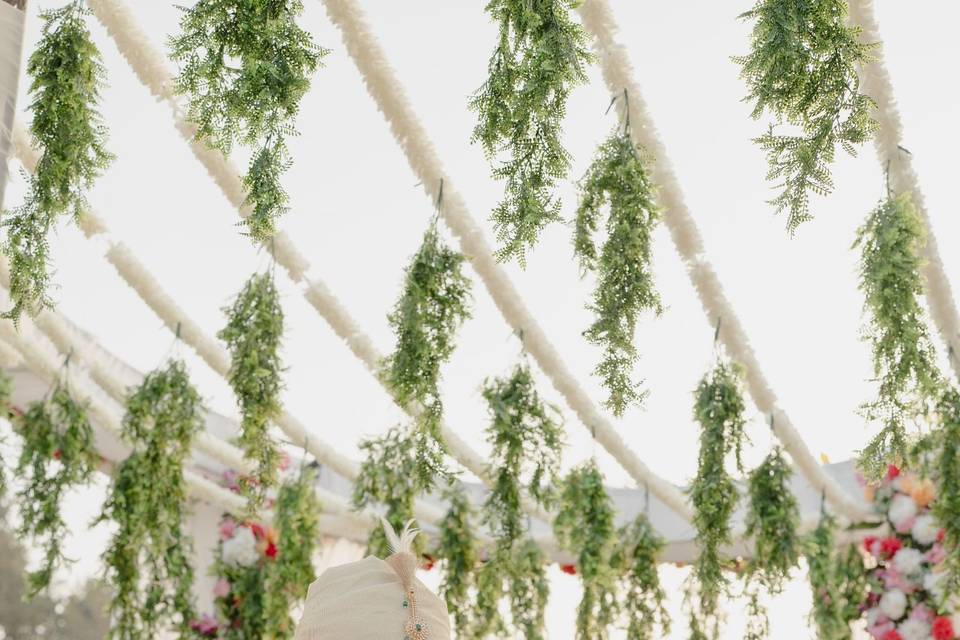 Weeding