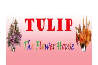 Tulip-The Flower House