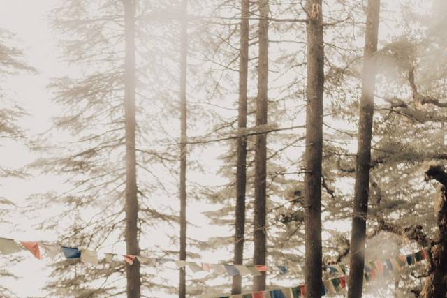 Pre-Wedding Shoot Outdoor