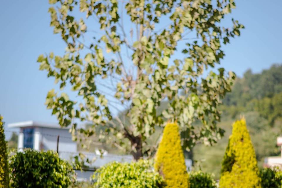 _theweddingpsalm__1734529346_3525810164009321983_5507430649