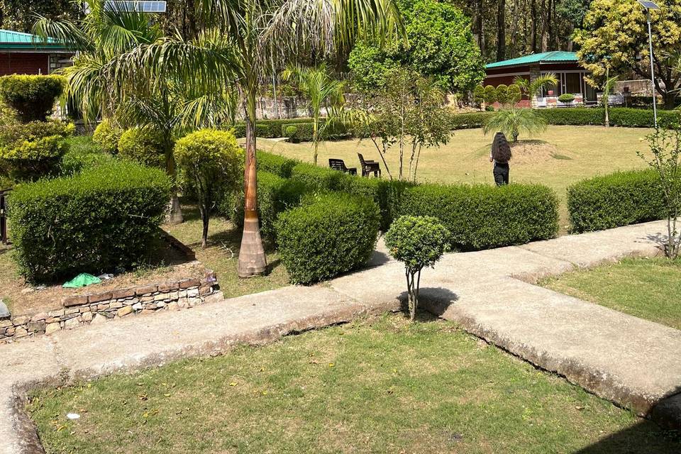 Lawn area