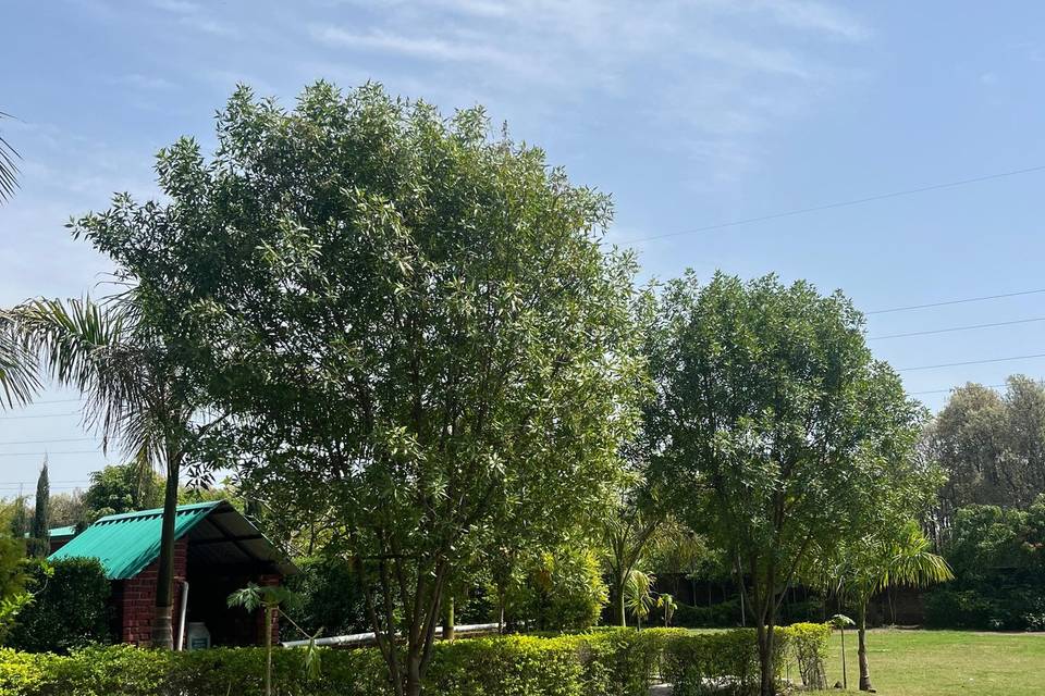 Wedding Space