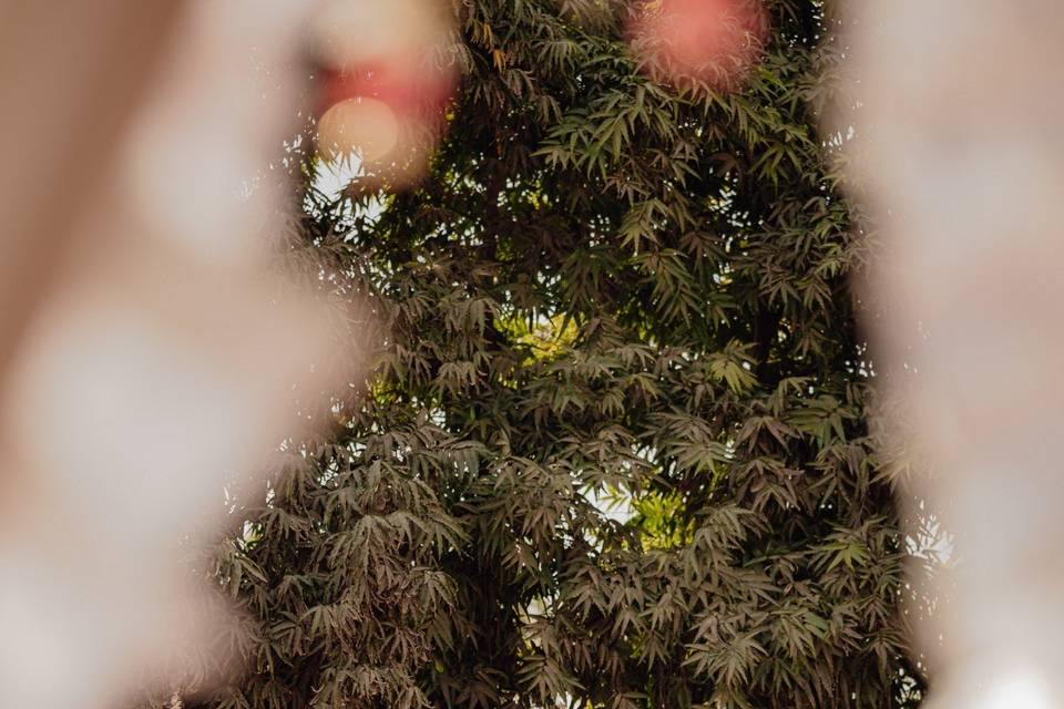 Experiential Weddings by Mapsor portfolio