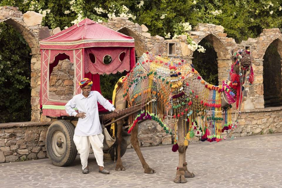 Experiential Weddings by Mapsor portfolio