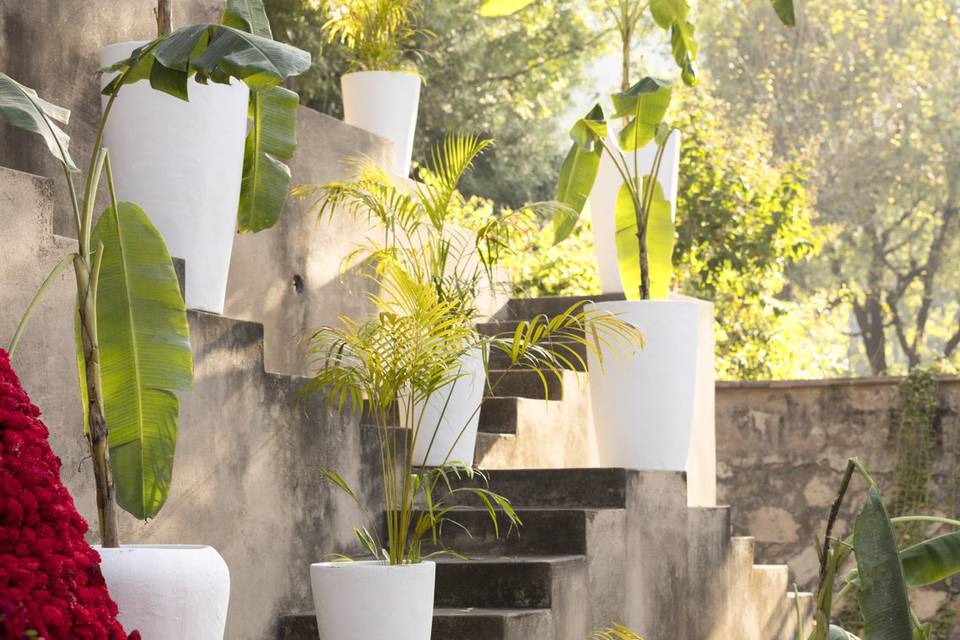 Experiential Weddings by Mapsor portfolio