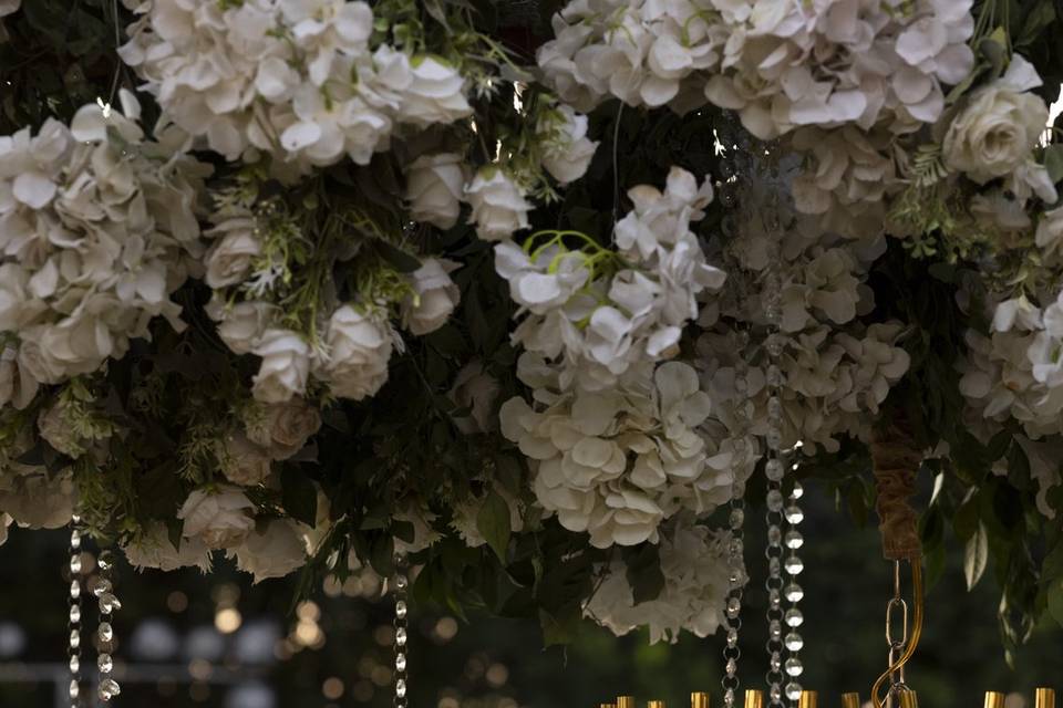 Experiential Weddings by Mapsor portfolio