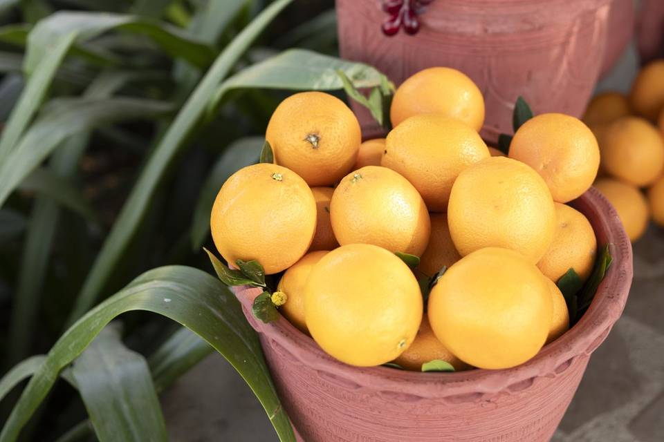 Experiential Weddings by Mapsor portfolio