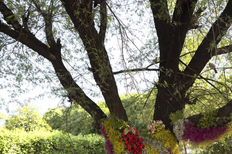 Experiential Weddings by Mapsor portfolio