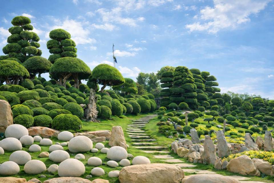 Garden