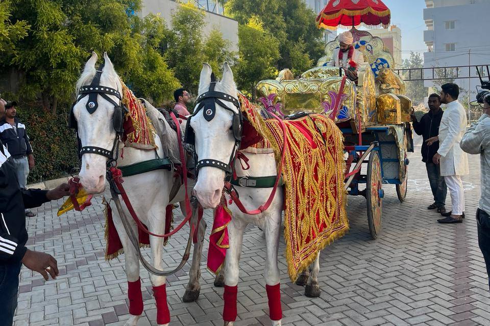 Groom's entry