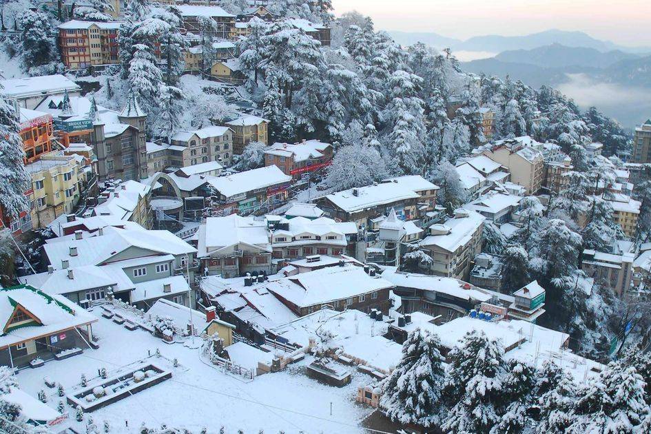 shimla