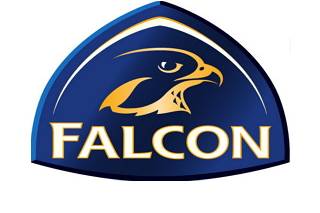 Falcon Eventz organizer Logo