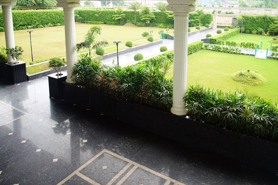 Lawn area