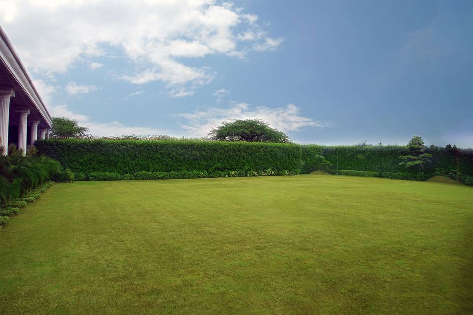 Lawn area