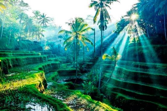 Honeymoon destination