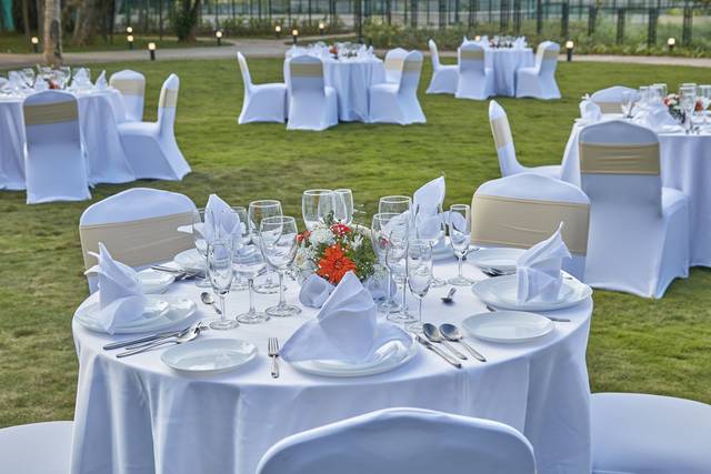 Table Set up