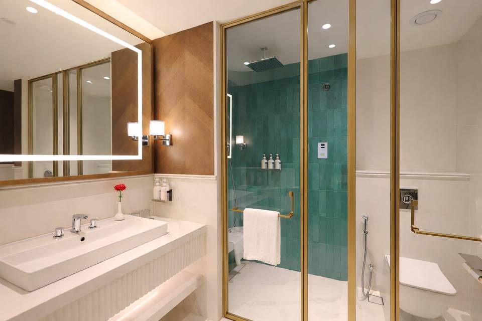 Suite bathroom with steam room