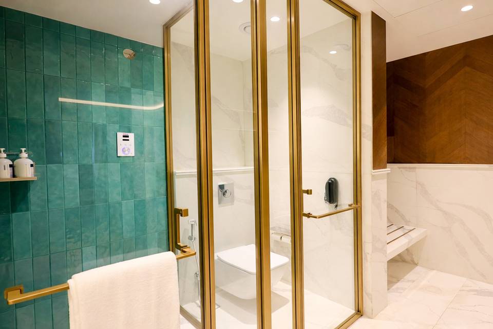 Suite bathroom with steam room