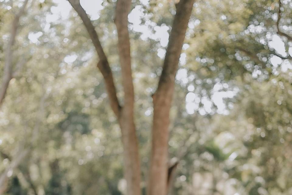 BABY SHOOT