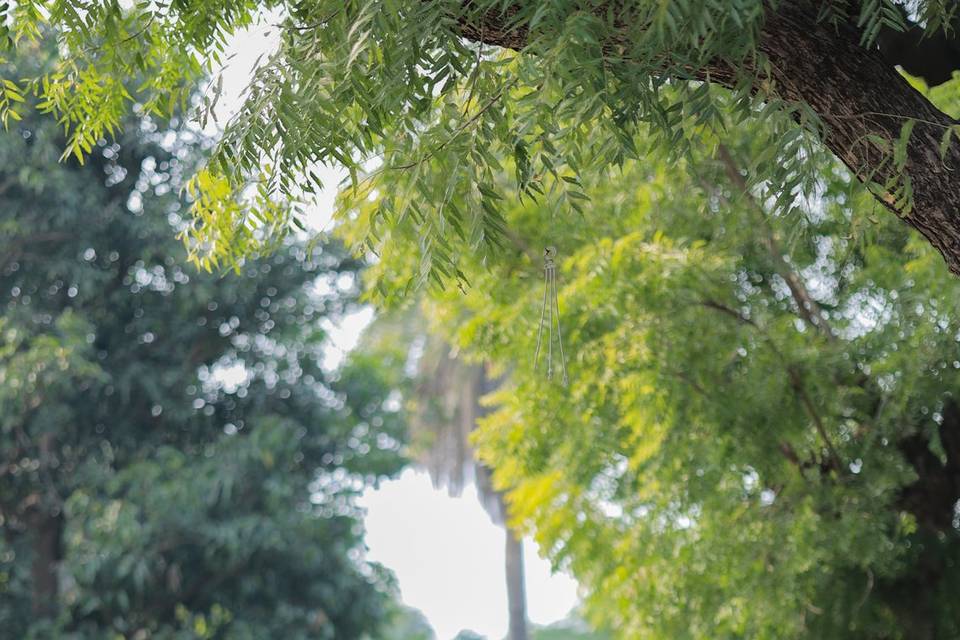PRE-WEDDING SHOOT