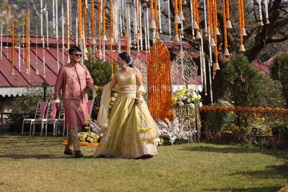 Haldi under apricot tree