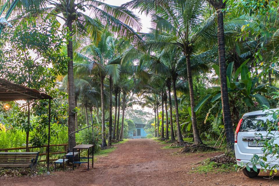 Nature Trails Rock Valley Goa portfolio