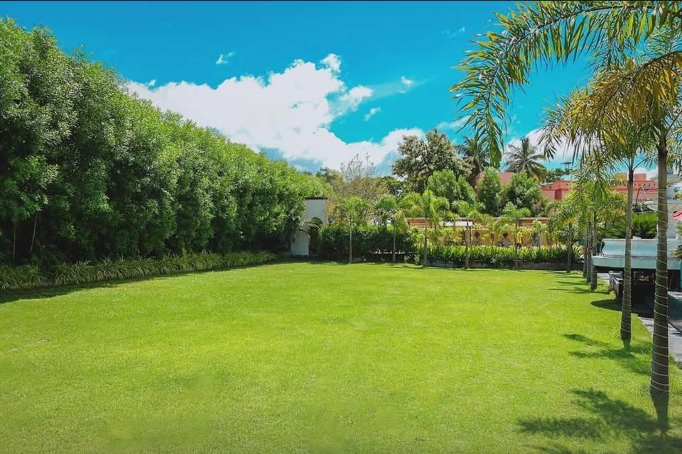 Lawn area
