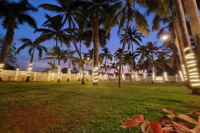Lawn area