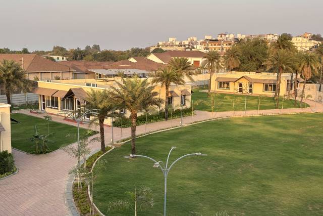 Meadows Lawn View
