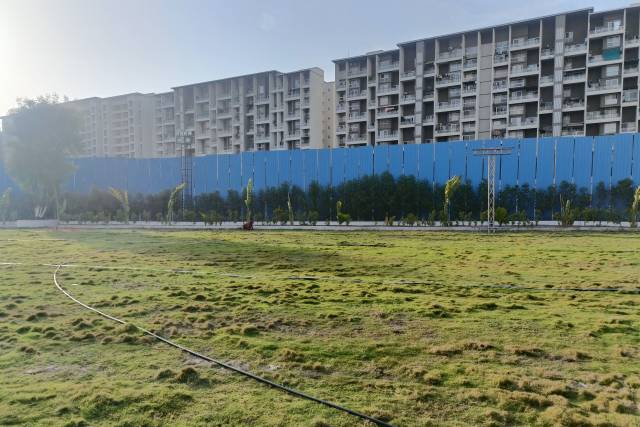 Lawn area