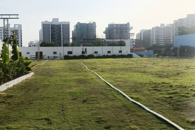 Lawn area