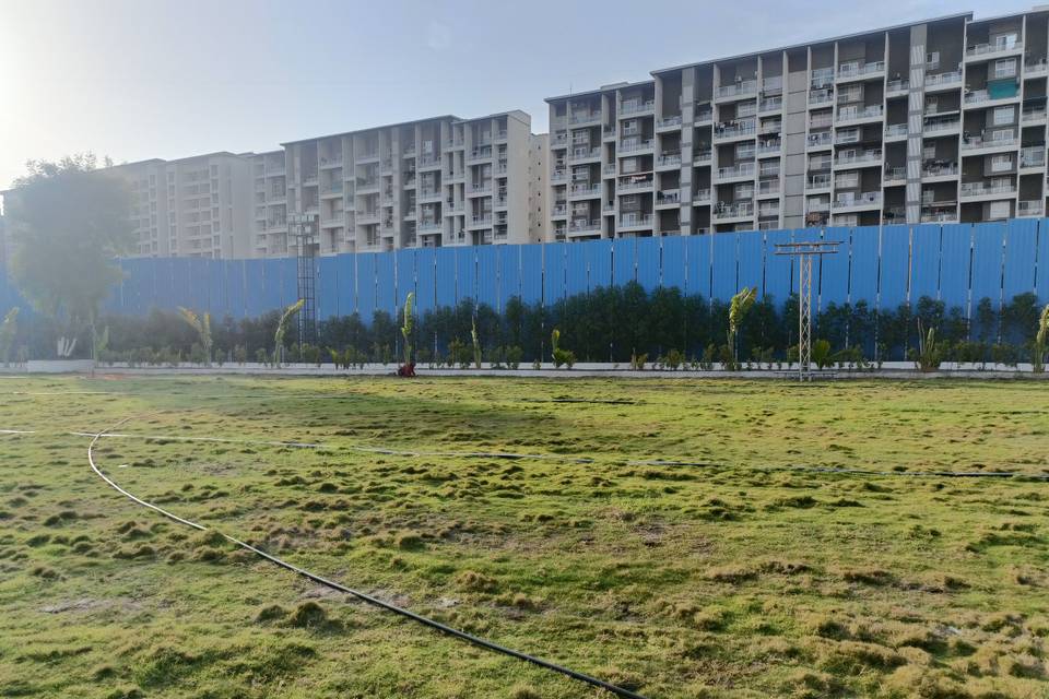 Lawn area