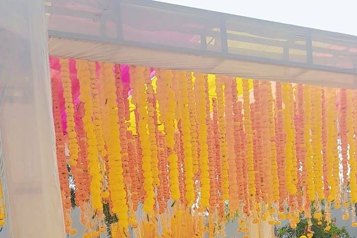 Haldi