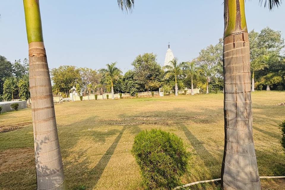 Lawn area