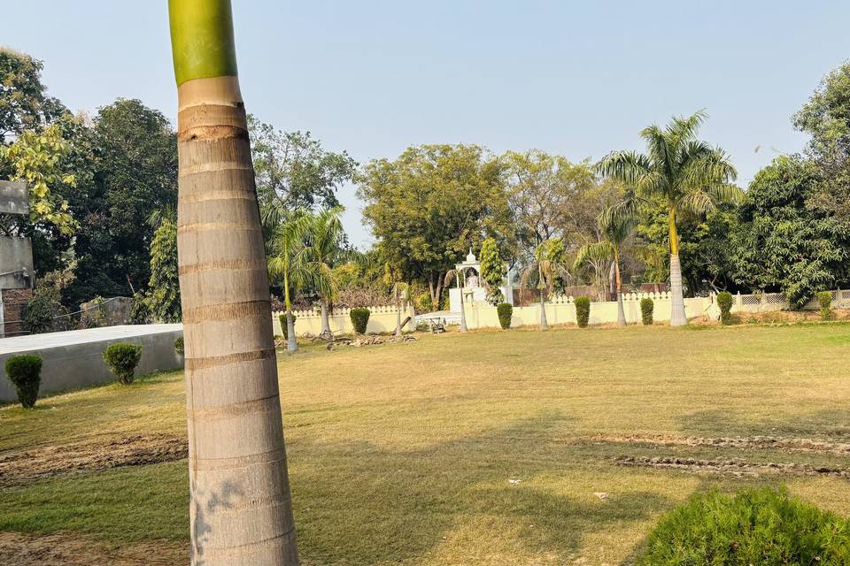 Lawn area