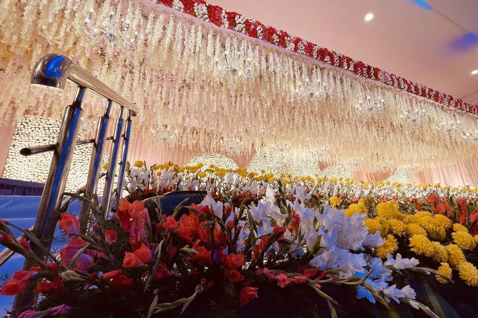 Elegance stage