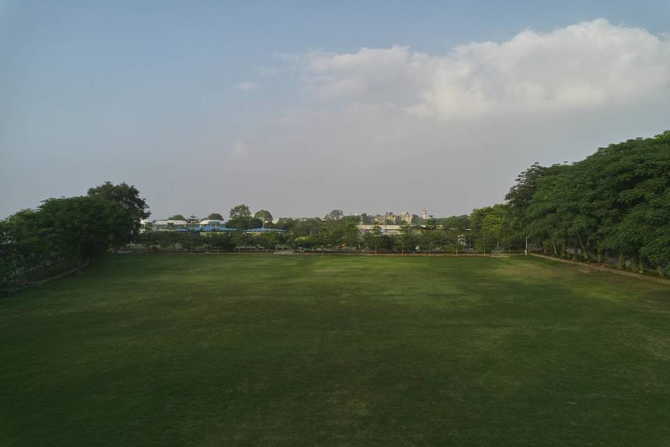 Lawn area
