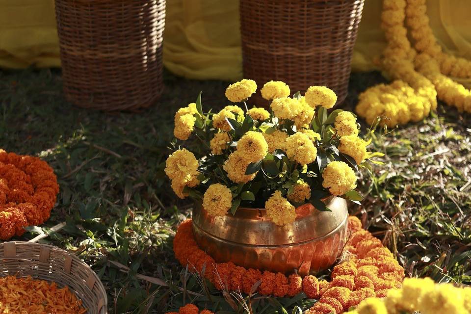 Kalakaar Events portfolio