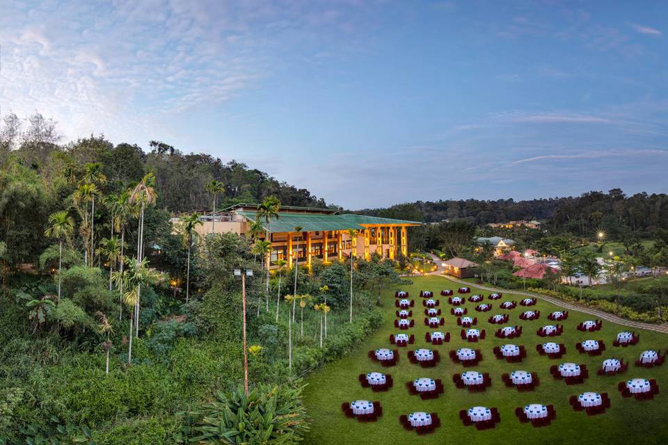 Lawn area