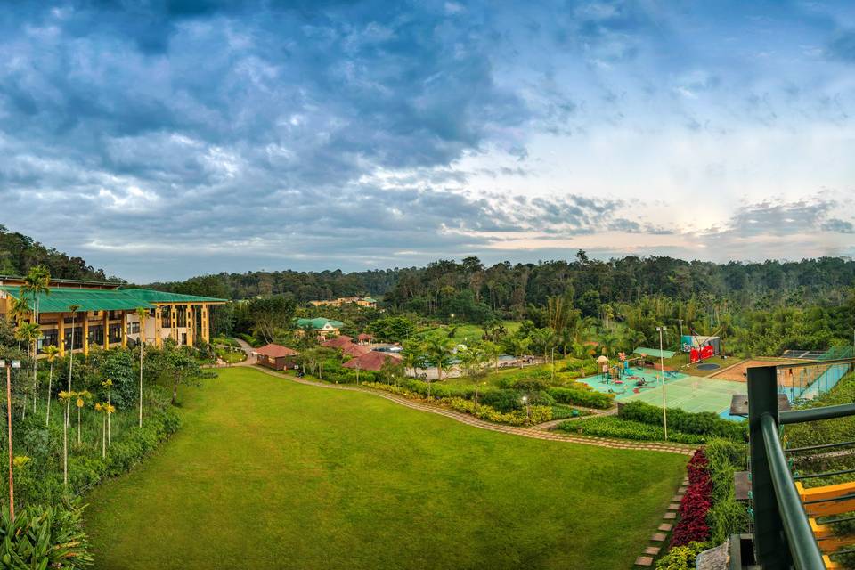 Lawn area