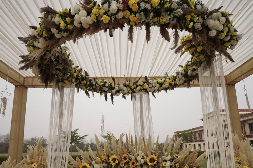 Haldi Decor