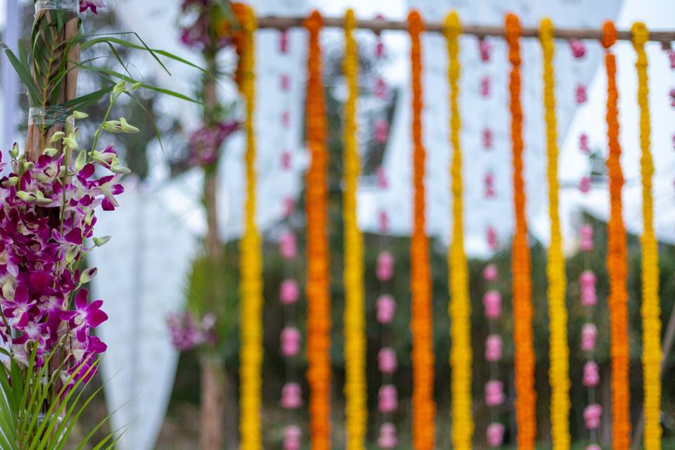 Wedding photography