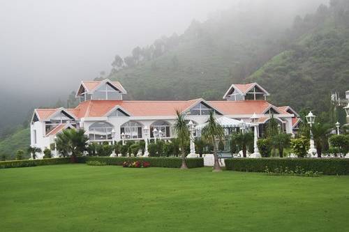 Lawn area