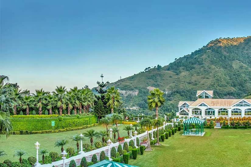 Lawn area
