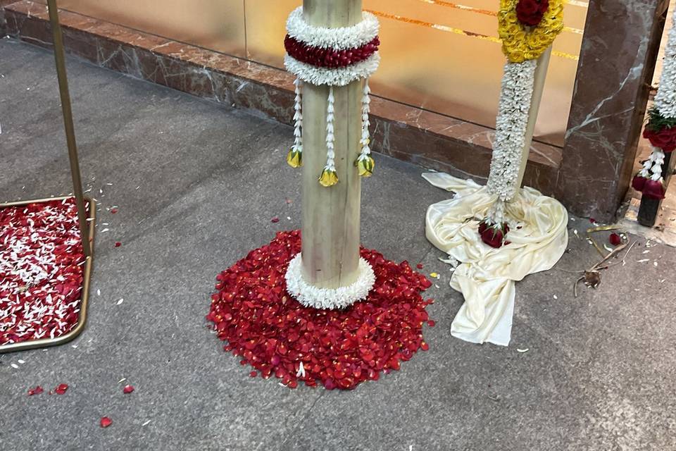 The Camellia Events