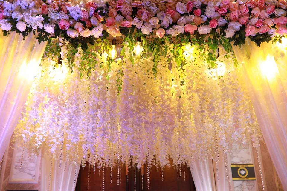 The Camellia Events