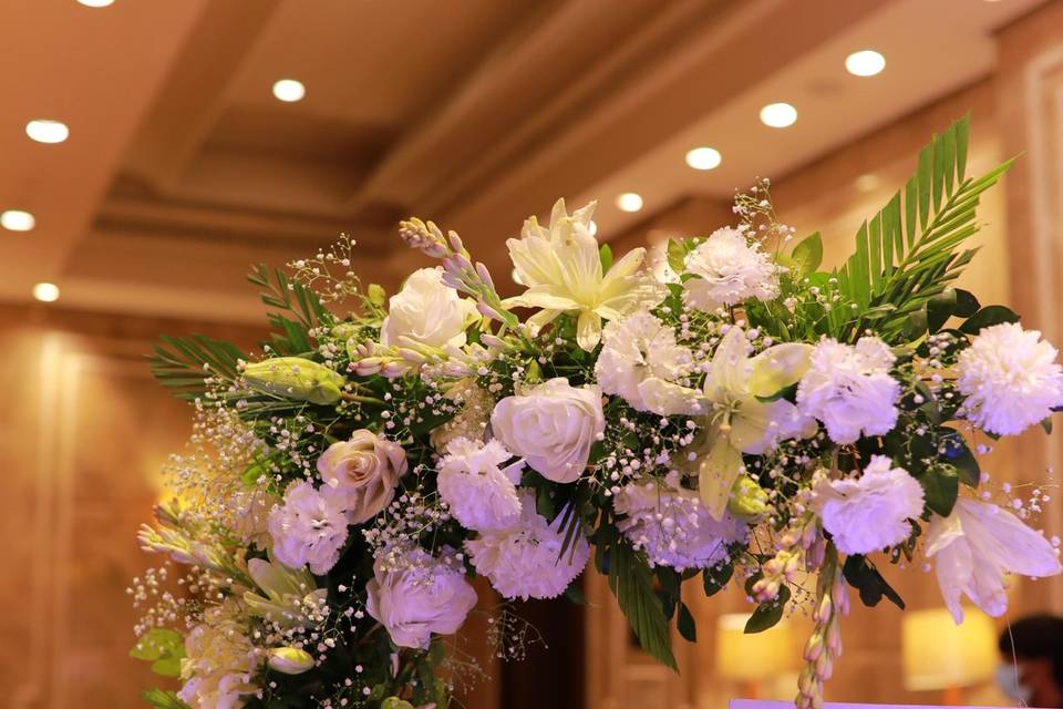 The Camellia Events