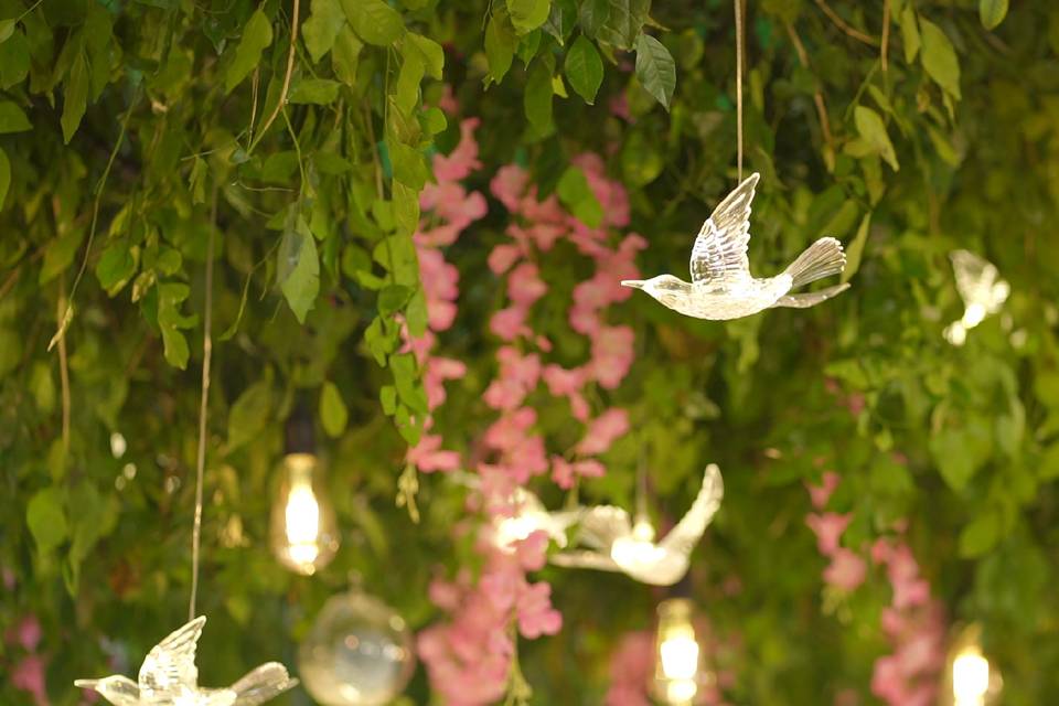 The Camellia Events
